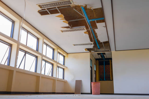 Best Water damage restoration process  in Syosset, NY