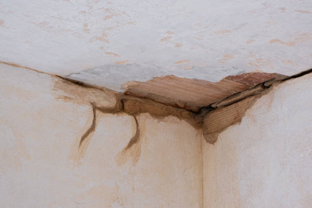 Best Water damage restoration near me  in Syosset, NY