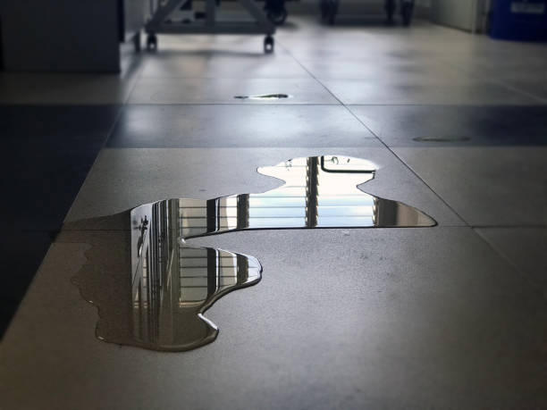 Best Commercial water damage restoration  in Syosset, NY
