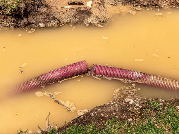 Best Water damage contractors near me  in Syosset, NY