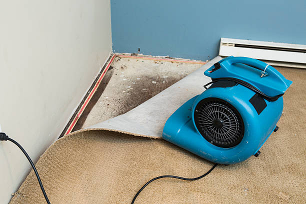 Best Ceiling water damage repair  in Syosset, NY